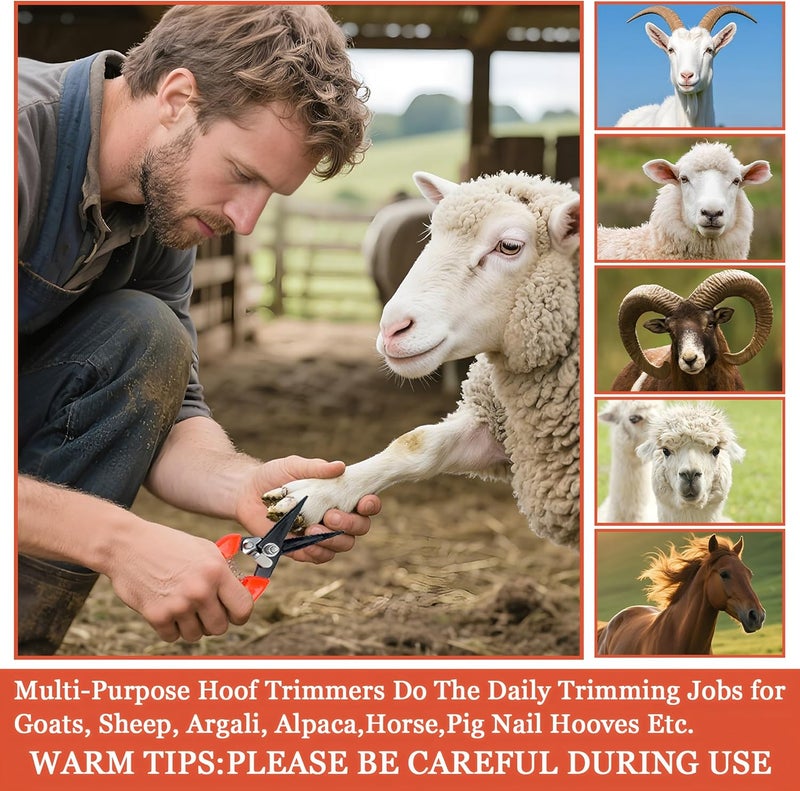 BADAO Goat Hoof Trimmers,Professional Hoof Care Trimming Shears Nail Clippers for Sheep,Goats,Alpaca,Lamb,Horse,Pig Hooves Multi-Purpose Pruning Versatile Steel Trimmer for Twig and Floral Scissor Tool - Image 5